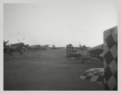 325th P-51 Mustangs
